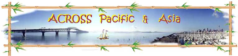 APA Banner