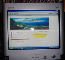 APA home page 7 05