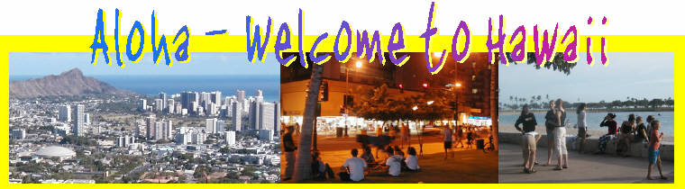 Hawaii Banner