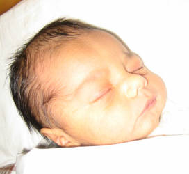 Josiah Ariki Hall