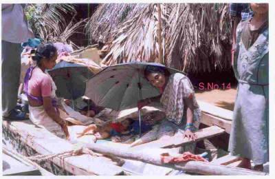 Mothers Care for their children
