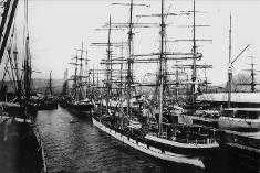 Honolulu harbor clipper ships