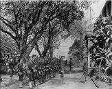 Honolulu Rifles