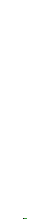 geko