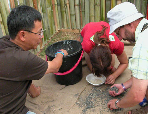 rice finding in Asia